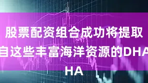股票配资组合成功将提取自这些丰富海洋资源的DHA