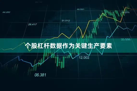 个股杠杆数据作为关键生产要素